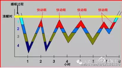 成人帽子多高