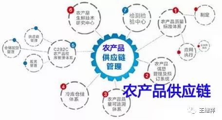 通用包装技术，现代物流与供应链管理中的核心环节